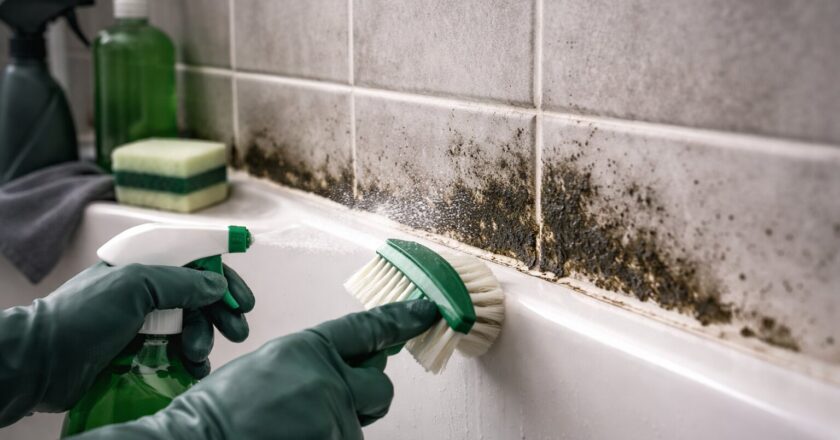 Schimmel in de badkamer verwijderen zonder blijvende schade aan je woning